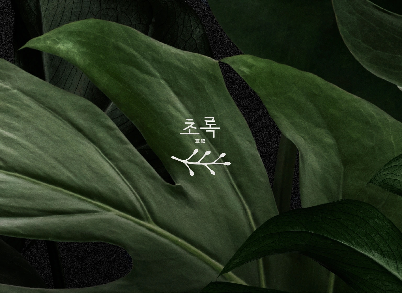 초록 草錄 - 김민주
