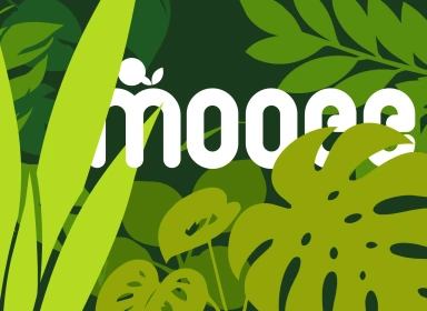 MOOEE - 양혜연