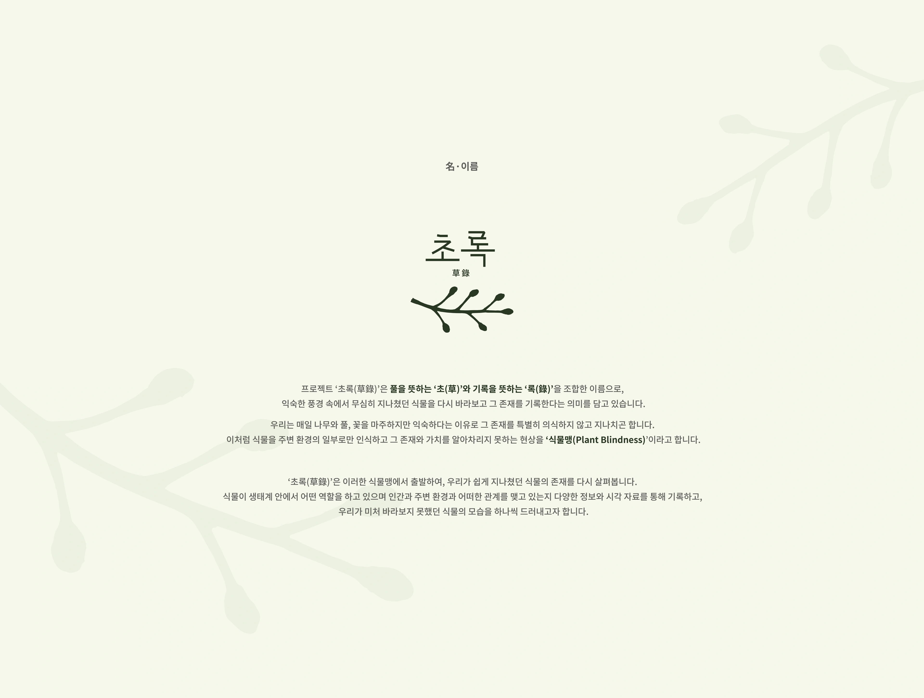 초록 草錄 — 김민주 작품 상세 1