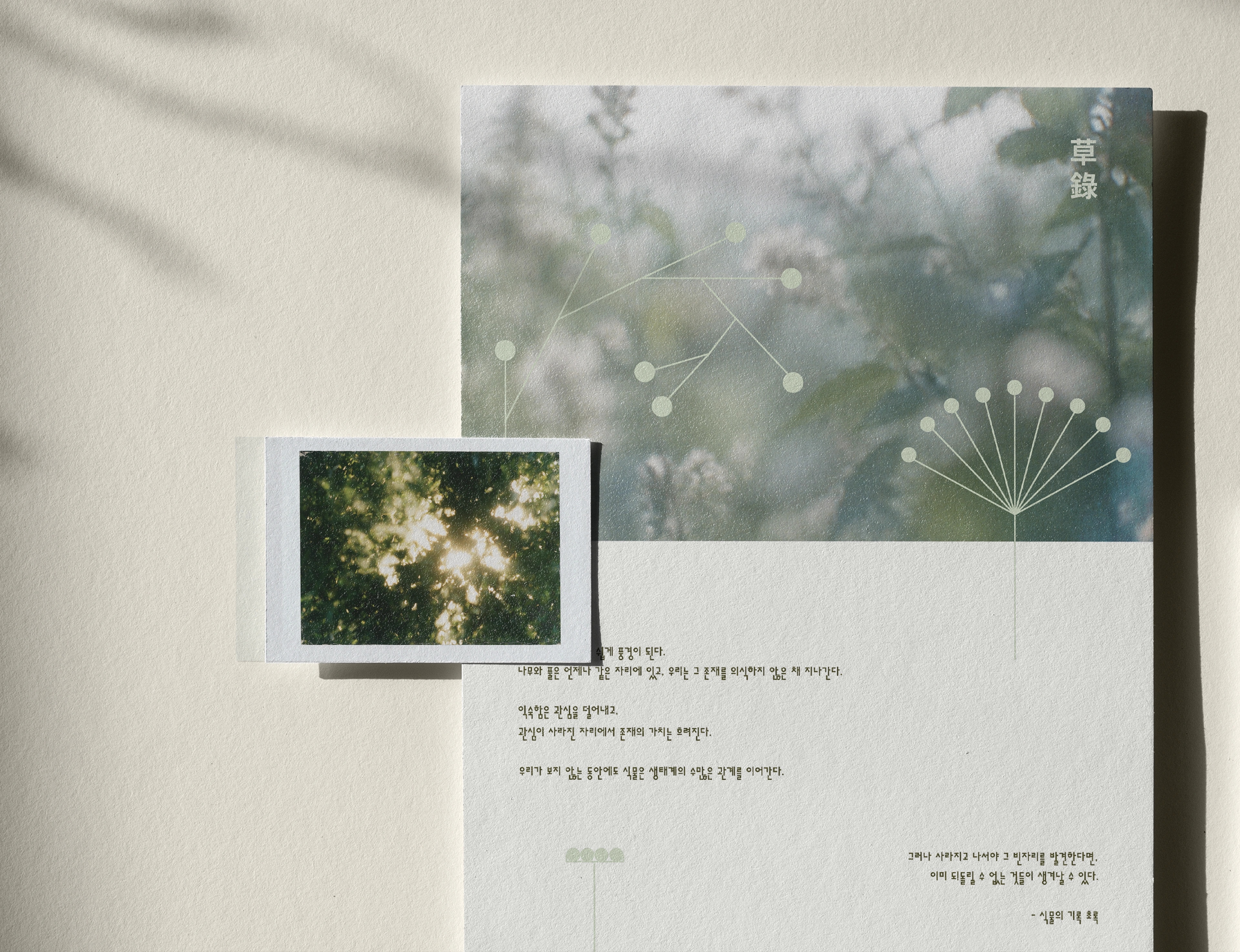 초록 草錄 — 김민주 작품 상세 10