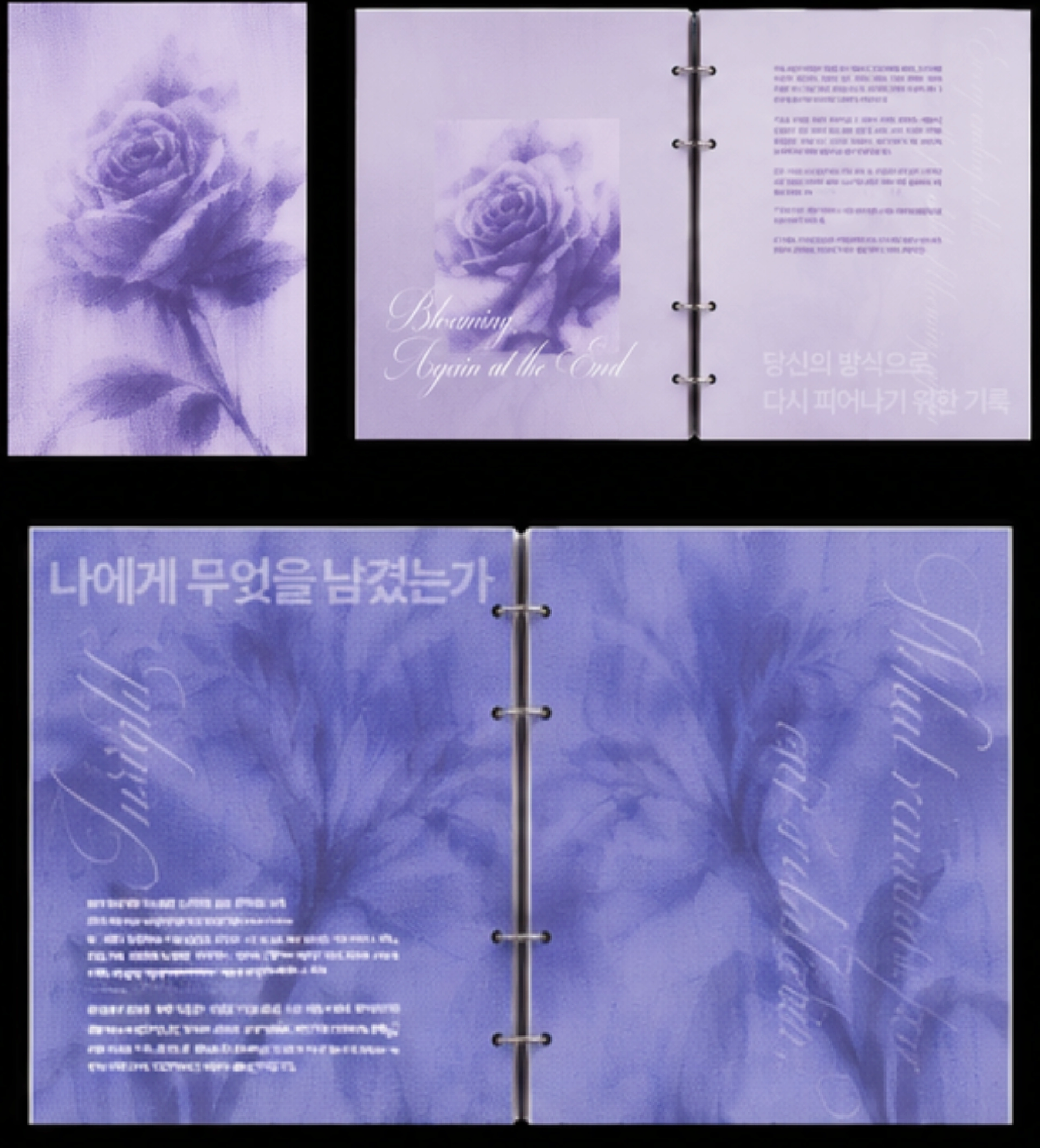 REBLOOM — 김서은 작품 상세 4